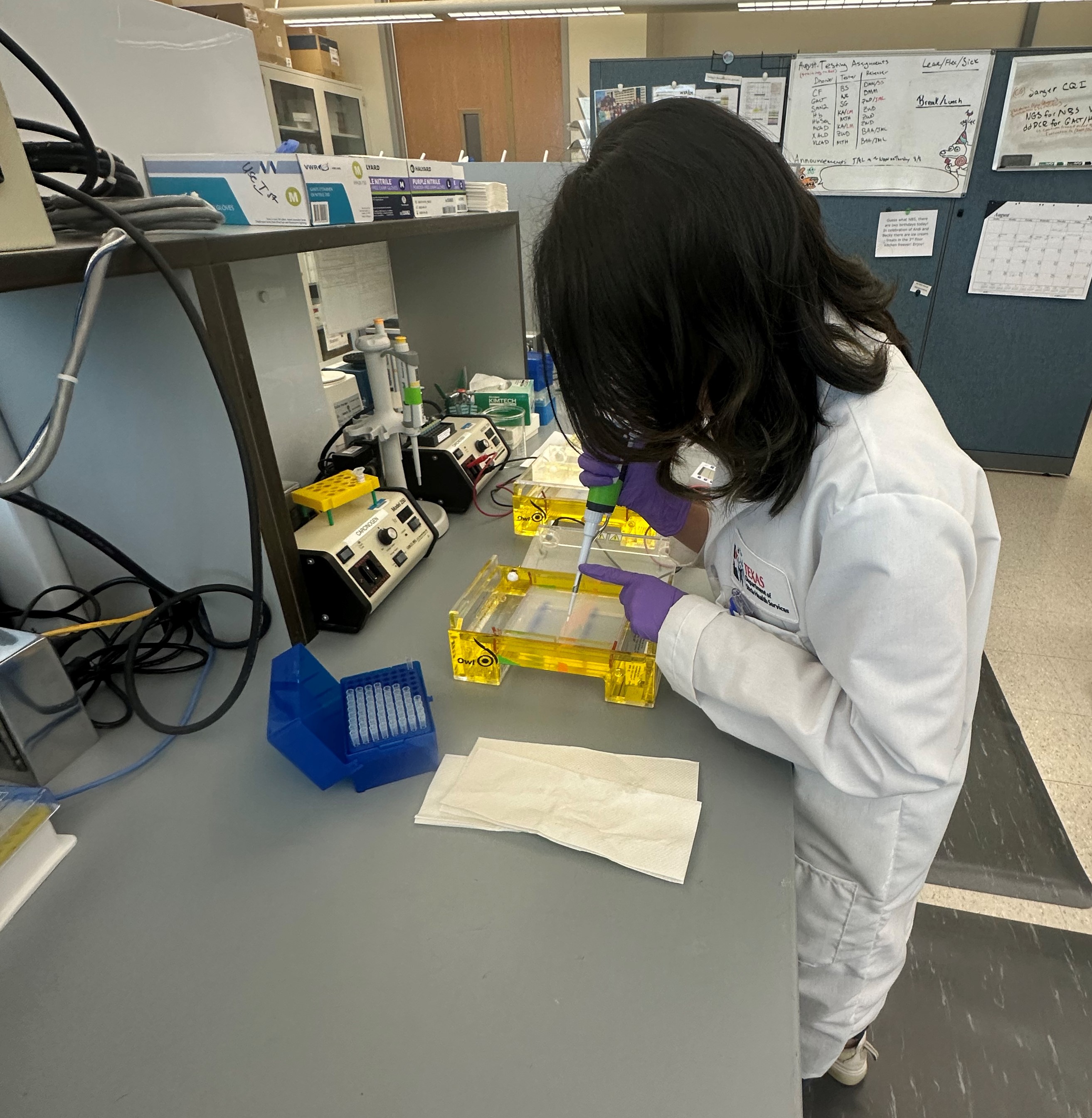 Lab Tech pipetting on a table top 